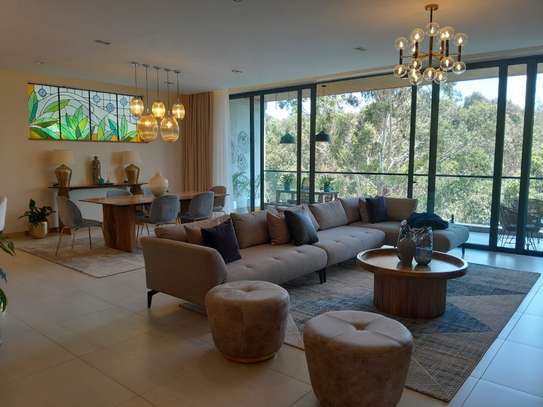 4 Bed Apartment with En Suite in Spring Valley image 17