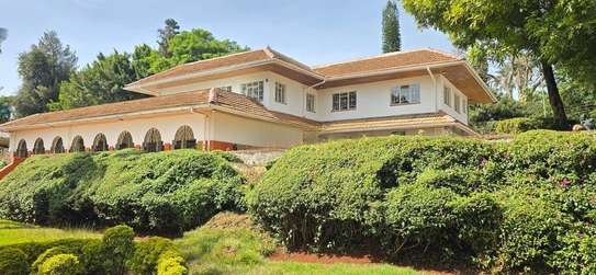 Commercial Property with Backup Generator in Lavington image 8