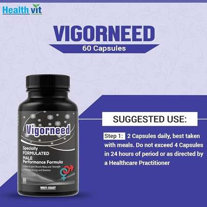 Vigorneed Supplements Helps Increasing The Male Libido image 3