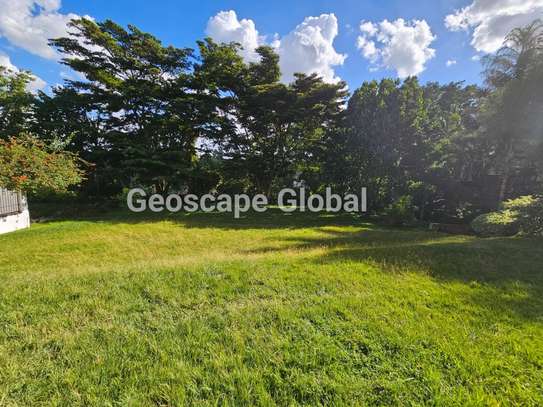 5 Bed House with En Suite in Spring Valley image 7