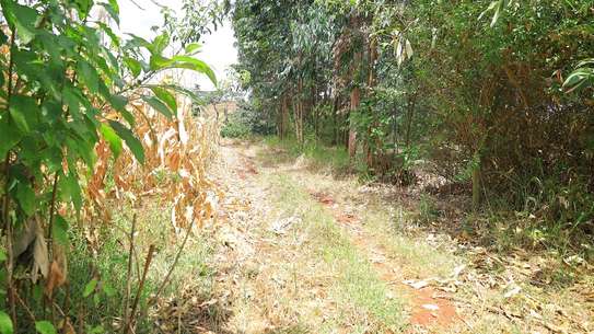 Land at Gatanga Road image 2