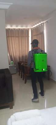 Fumigation and Pest Control Services Lakisama image 3