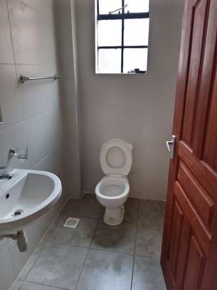 2 Bed Apartment with En Suite in Thindigua image 1
