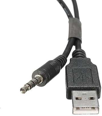 Universal  Car USB and AUX Extension. image 1