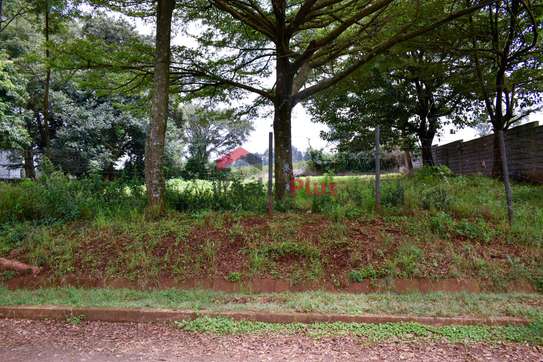 Land in Kitisuru image 1