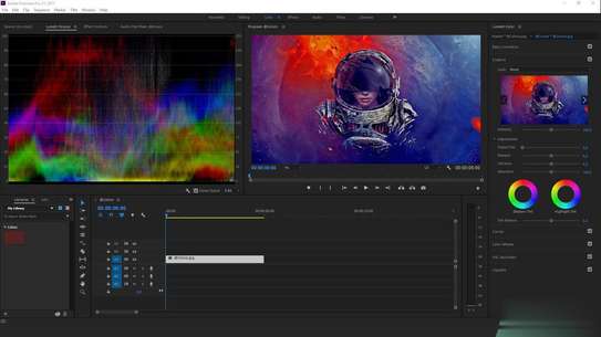 Adobe Premiere Pro 2020 (Windows/Mac OS) image 4