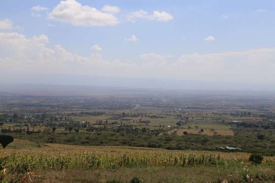 50*100 Land For Sale In Nakuru image 7