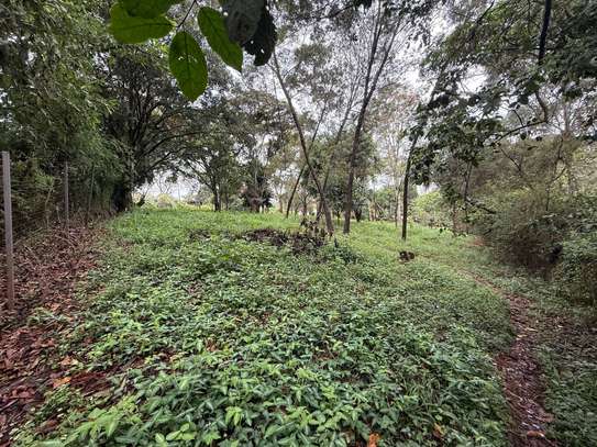 5 ac Land in Kitisuru image 5