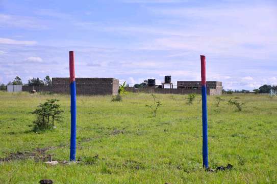 50by100 plot at Joska Malaa image 2