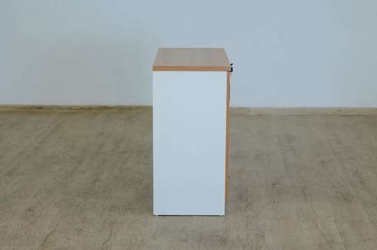 2 Door Wooden Executive Office Cabinet image 4
