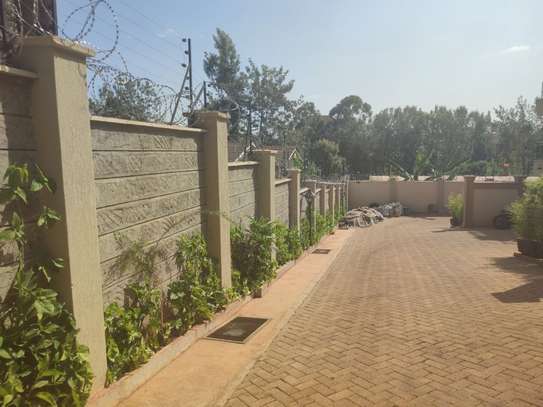 5 Bed House with En Suite in Thindigua image 19