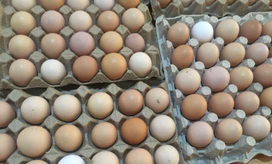 Fertilized Kienyeji eggs image 3
