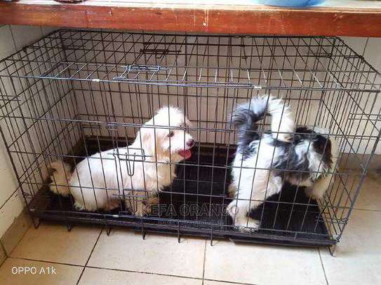 dog cage image 1