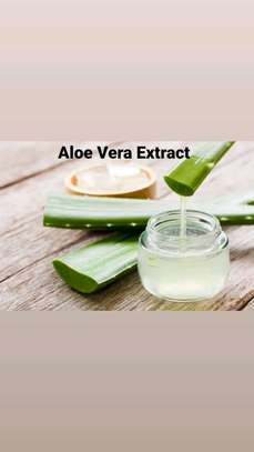 Aloe Vera Extract image 1