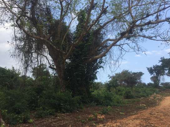 Land in Diani image 2