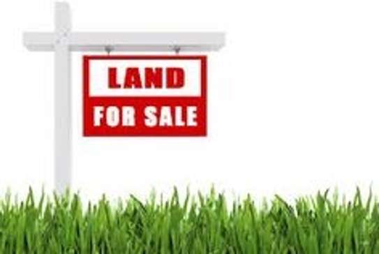 0.5 ac Commercial Land in Westlands Area image 1