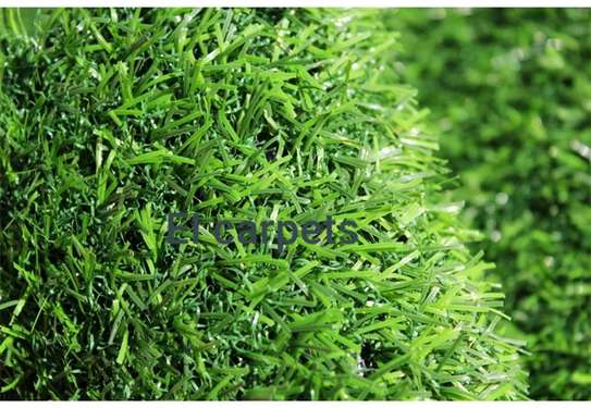 quality carpet grass image 1