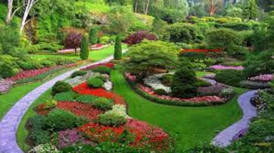 Expert Landscaping & Gardening Services  for Estate & Individual Homes image 3