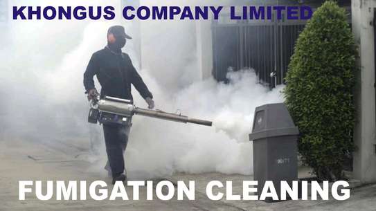 Khongus Fumigation Services image 4