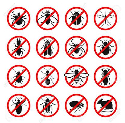 Bed Bug Fumigation and Pest Control Services Company Nyari image 4