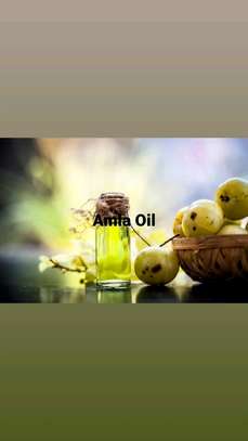 Amla Oil image 2