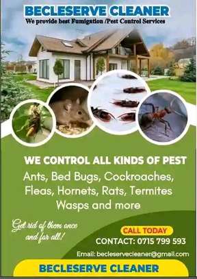 Fumigation Services image 3