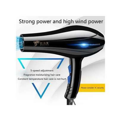 SHARE THIS PRODUCT   Deliya Electric Hair Blow Dryer PLUS FREE ACCESSORIES image 1