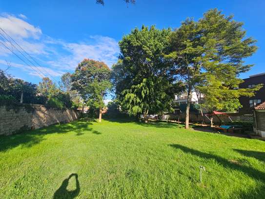Land in Lavington image 1