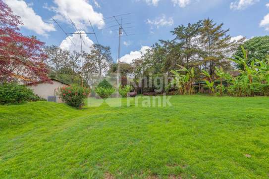 0.5 ac Land in Rosslyn image 7