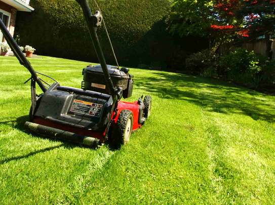 Lawn Mowing And Garden Services | Request your free, no-obligation grass cutting quotation now image 11