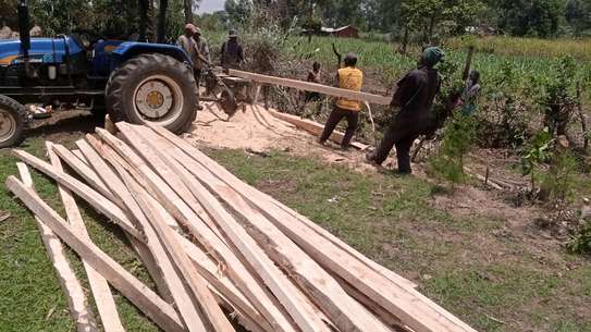 Timber supply image 10