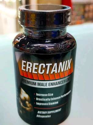 ERECTANIX image 2