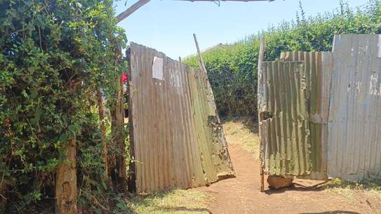 Land for sale in Rironi (50*100) image 3