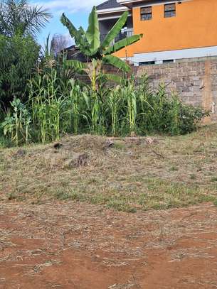 1/8 Acre Land For Sale in Kenyatta Road, near Muigai Inn image 2