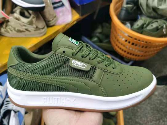 Puma