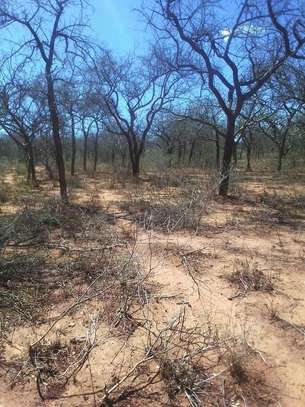 70 acres along Makindu-Wote Rd Makueni County image 9