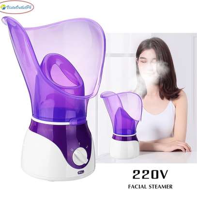 Face and  nasal steamer image 1