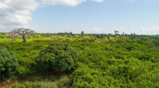 0.25 ac Residential Land at Diani Beach Road image 27