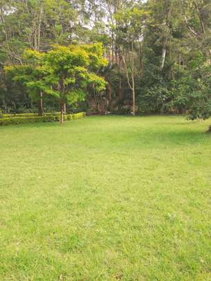 5 Bed House with Garden in Lavington image 22