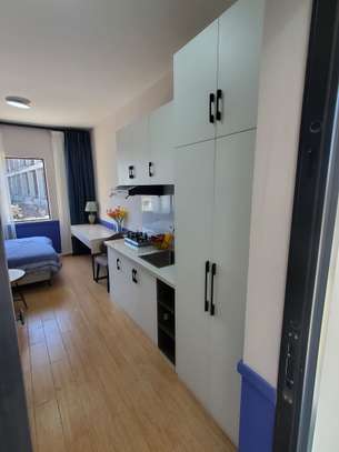 Studio Apartment with Swimming Pool at Dagoretti Corner image 3
