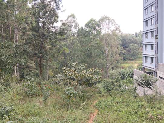 Commercial Land at Kirawa Road image 4