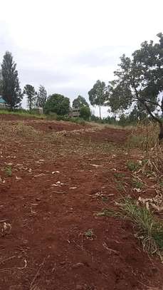 40X80ft PLOTS FOR SALE AT KABATI ZABKA IN MURANGA COUNTY image 6