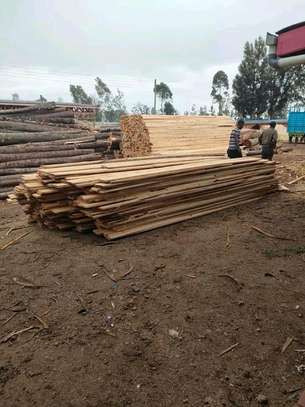 Wood timber image 1