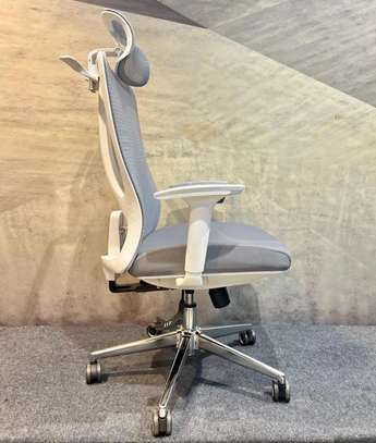High Back Chair: Orthopedic Executive Chair image 8