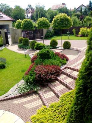 Evannos landscaping limited image 3