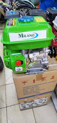 Milano 7.5 hp agricultural engine image 1