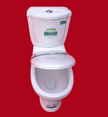 Sawa toilet image 1
