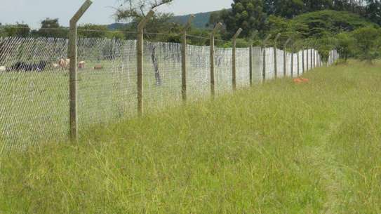 2 Acre Plot for Sale – Kyaani, Kamuthanga, Mua Region image 2