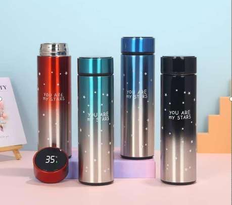 500ml Smart Flask(With LED Temperature Display) image 1