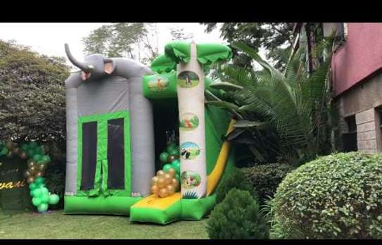 Bouncy castles hiring image 7